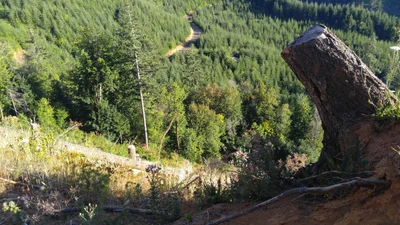Yamhill County - Photo 4