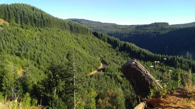 Yamhill County - Photo 5