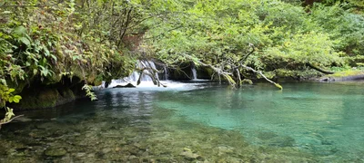 Plitvički Ljeskovac - Photo 3
