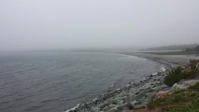 Cow Bay - Photo 2