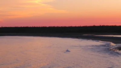 Cow Bay - Photo 3
