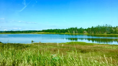 East Lawrencetown - Photo 3