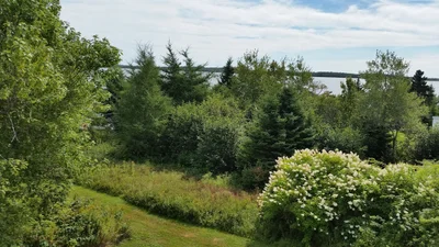 East Lawrencetown - Photo 4