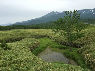 斜里町 - Photo 3
