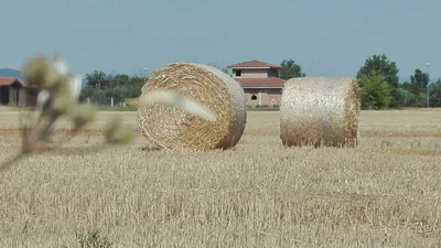 Campi Bisenzio - Photo 4