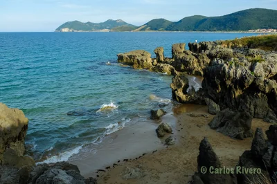 Noja - Photo 5