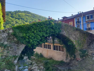 Cabrales - Photo 3