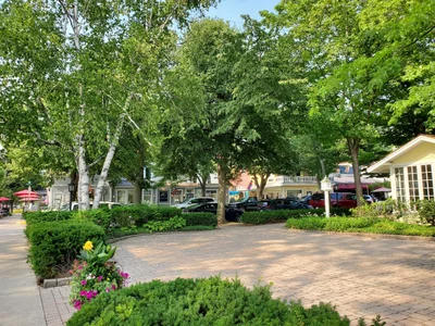 Saugatuck - Photo 3