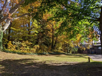 Saugatuck - Photo 4