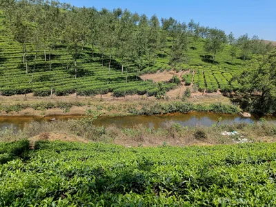 Vagamon - Photo 2