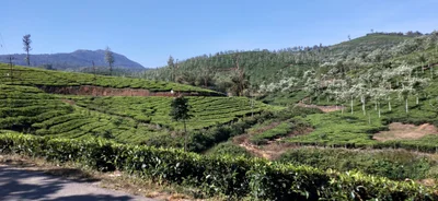 Vagamon - Photo 3
