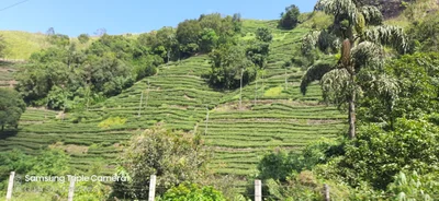 Vagamon - Photo 4