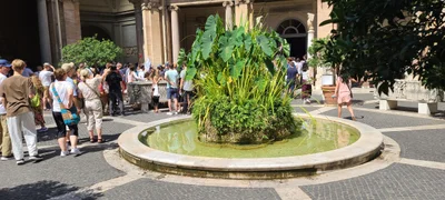 Roma - Photo 2