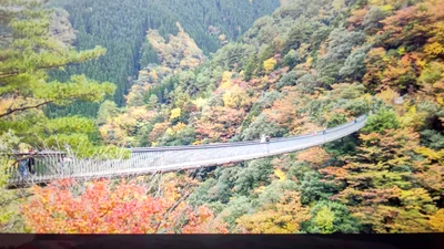 Yatsushiro - Photo 3