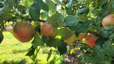 Manchester - Photo 2