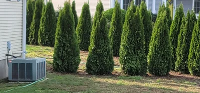 Manchester - Photo 4