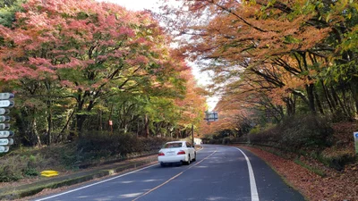 Kirishima - Photo 3