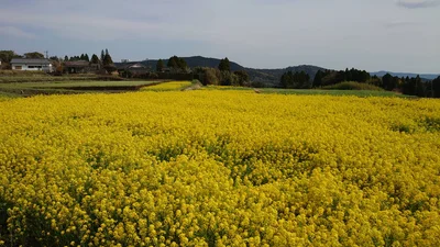 Kirishima - Photo 5