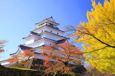 Fukushima - Photo 3