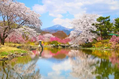 Fukushima - Photo 5