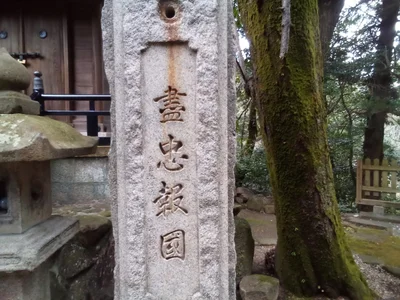 Ikoma - Photo 5