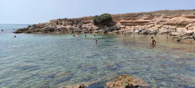 Pulsano - Photo 4