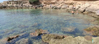 Pulsano - Photo 5