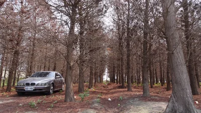 Erlin Township - Photo 3