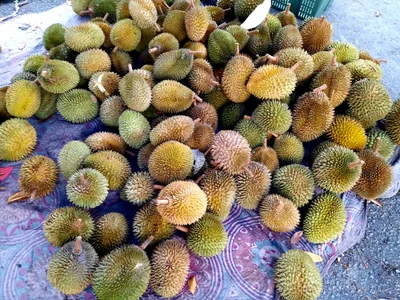 Seri Iskandar - Photo 2