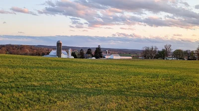 Strasburg - Photo 4
