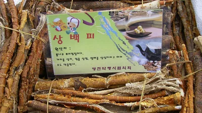 Yeongcheon-si - Photo 4
