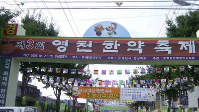 Yeongcheon-si - Photo 5