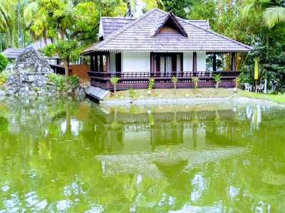 Palakkad - Photo 2
