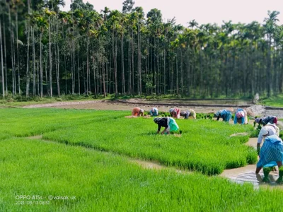 Palakkad - Photo 4