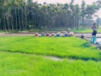 Palakkad - Photo 5