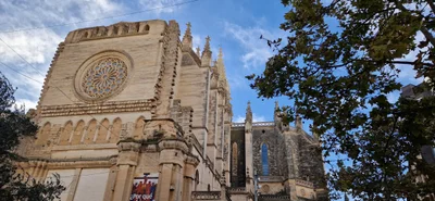 Manacor - Photo 3