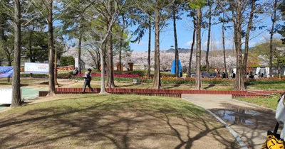 Gimhae-si - Photo 5