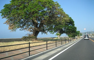 Kanoya - Photo 5