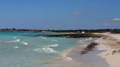 Campos - Photo 5
