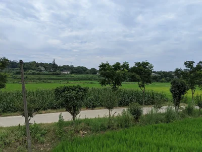 Jingzhou - Photo 2