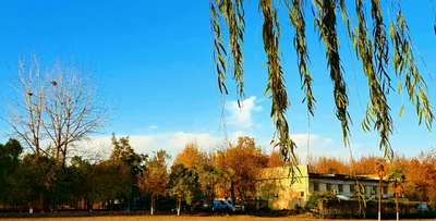 Jingzhou - Photo 4