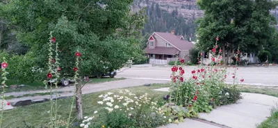 Ouray - Photo 4