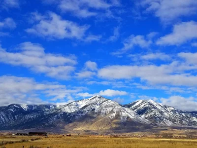 Minden - Photo 3