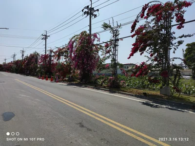 Tianzhong - Photo 2