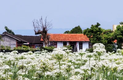 Tianzhong - Photo 3