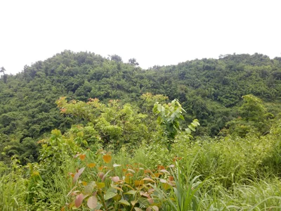 Hsipaw Township - Photo 4