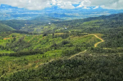 Wamena - Photo 2