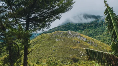 Wamena - Photo 4