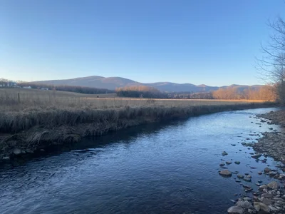 Greene County - Photo 2