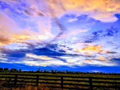Greene County - Photo 3